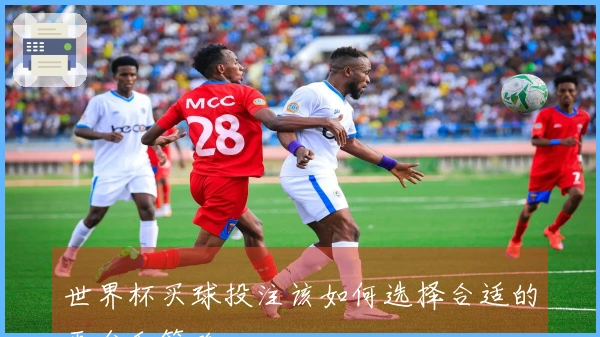世界杯买球投注该如何选择合适的平台和策略