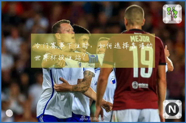 冷门赛事下注时，如何选择靠谱的世界杯投注站？